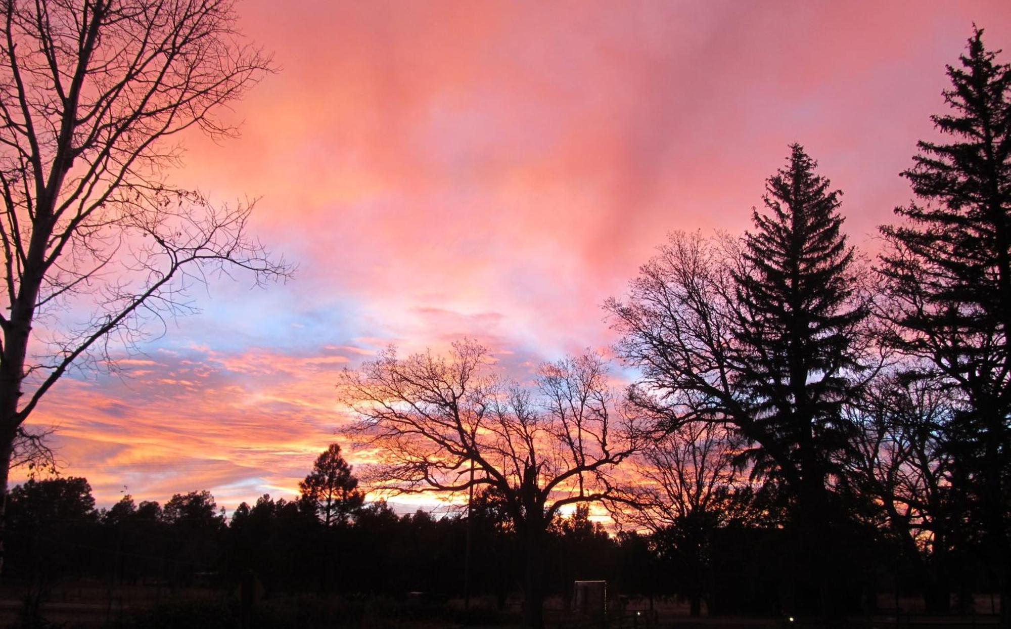 Lazy Oaks Resort Pinetop-Lakeside Exteriér fotografie